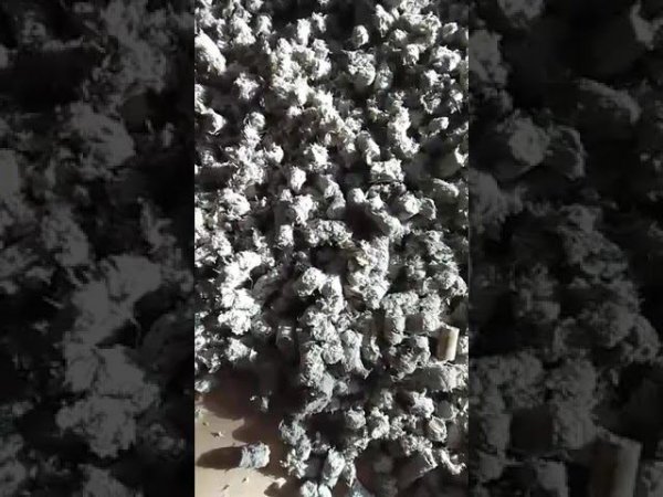 WhatsApp Video 2023 05 11 at 08 46 51
