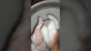 1000004438.mp4