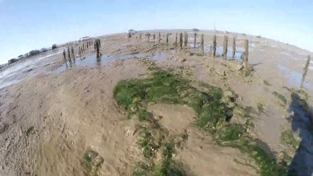 Влог Франция: Собираем устрицы! Дно Океана смотреть онлайн