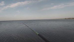 Рыбалка маховой удочкой на Азовском море. Бычек-икрянчик
