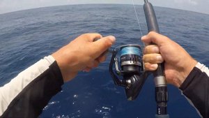 Желтоперый тунец. Рыбалка на Шри Ланке. Поимка на джиг. Yellowtuna jig catching in Sri Lanka