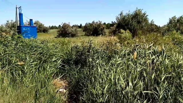 СОЛЬ ИЛЕЦК 2021. МЕСТО ГДЕ МОЖНО РАСПОЛОЖИТЬСЯ В ПАЛАТКАХ. ЭКОНОМИМ НА ЖИЛЬЕ смотреть онлайн