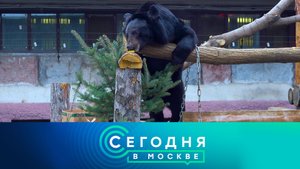 «Сегодня в Москве»: 2 февраля 2023 года