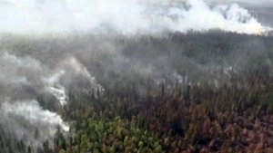 В связи с пожарами в Иркутской области будет введен режим ЧС