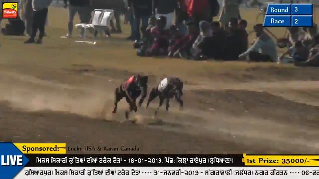 Devdas Neela - Kila Raipur Greyhound Races - Jan 18 2019 смотреть онлайн