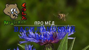 Про МЁД - васильковый мёд