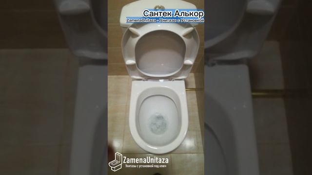 Унитаз с установкой под ключ - Santek Алькор — смотреть онлайн видео ...