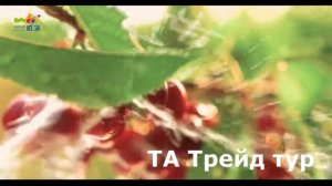 Туры в Вэйхай