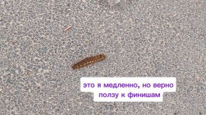 8. Вышивка крестом: 1 финиш и 2 продвижения