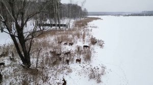 Национальный парк Лосиный остров