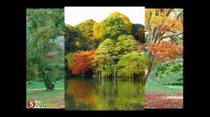 Самые красивые сады мира.