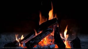 Звуки Костра в Лесу Ночью, Пение Птиц и Сверчков, Звуки Природы, Релакс для Сна, Медитация