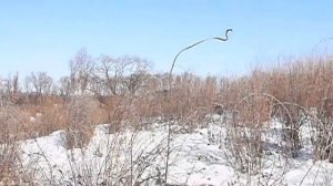 Вездеход на базе УАЗ 3151