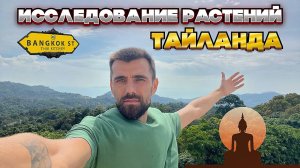ИССЛЕДОВАНИЕ растений ТАЙЛАНДА  Бангкок - ботанический сад
