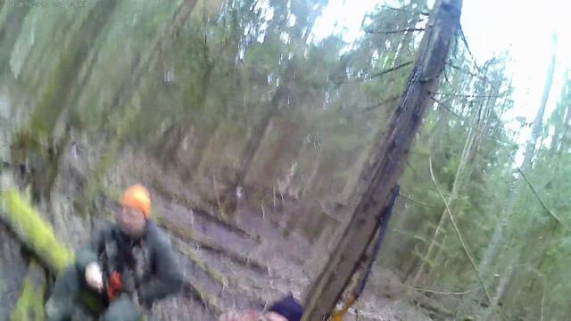 Рассуждаем в ожидании собак. смотреть онлайн