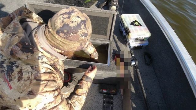 Miuras mouse vs svartzonker mc rubber! Самый лучший день осени на Москва реке! 18+ смотреть онлайн