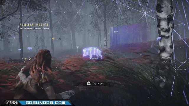 Horizon Zero Dawn Boar Skin & Bone farming locations *SPOILERS* - PS4 Pro смотреть онлайн