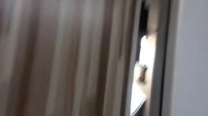 регулировка входной пластиковой двери видео 2 во Владивостоке