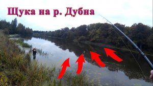 Ловля щуки на спиннинг на реке Дубна