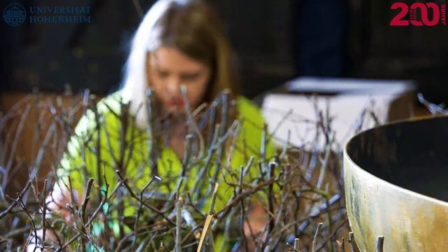 Floristmeister Ankündigung смотреть онлайн