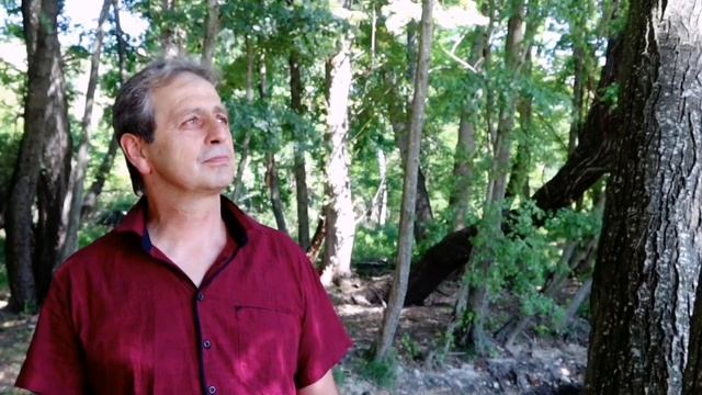 "Песен за Яне Сандански", Любчо Арнаудов смотреть онлайн