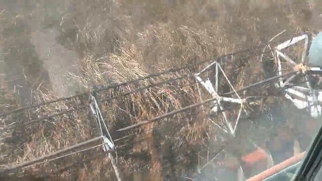 Уборочная 2019, убираем гречку смотреть онлайн