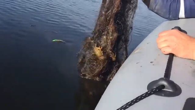 Сеть с РАКами.Троллинг. Десногорское водохранилище. смотреть онлайн