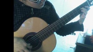 Mauro Giuliani- Allegro (op.100 n.11)