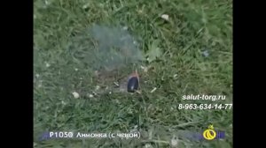 Петарды Лимонка с чекой