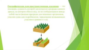 видеоурок ФАКТОРЫ ЭВОЛЮЦИИ