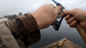 Рыбалка в Смоленской области село Алексино, на фидер, плотва, окунь