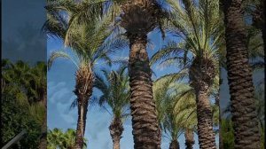 ОТЕЛЬ  PEGASOS WORLD  /СИДЕ.  ОТДЫХ В ТУРЦИИ В ОКТЯБРЕ./3 ЧАСТЬ