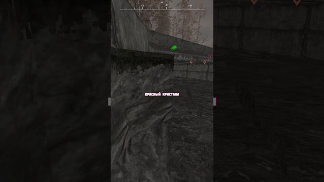 ВЫБРОС В ОТРАЖЕНИИ | STALCRAFT X