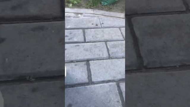 Как убрать цемент с брусчатки! смотреть онлайн