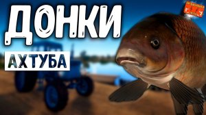 РР4/ рыбалка для души, ловим как универсал, общаемся 17.03.24