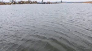Рыбалка на Тарань!!! бешеный клёв крупной Тарани!