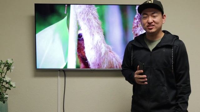 Skyworth Android TV Chromecast Setup Guide смотреть онлайн