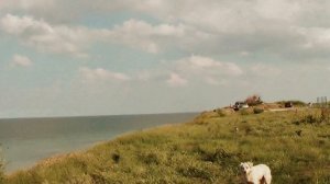 РУМЫНИЯ: Прогулка по румынской деревне Vama Veche... Romania