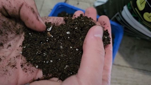 Лучший грунт для всех растений! В таком грунте растёт всё как на дрожжах!