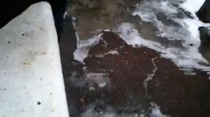 Рыбочистка ро 1м1