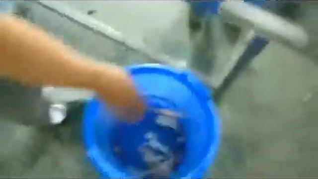 Как почистить много чеснока. Titan FX-128 смотреть онлайн