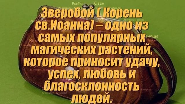 Что положить в кошелек чтобы деньги водились