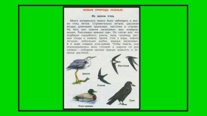 Окружающий мир 2 класс рабочая тетрадь 1 часть. Невидимые нити