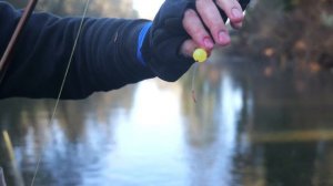 Winter Steelhead Limit | Low & Clear Success |