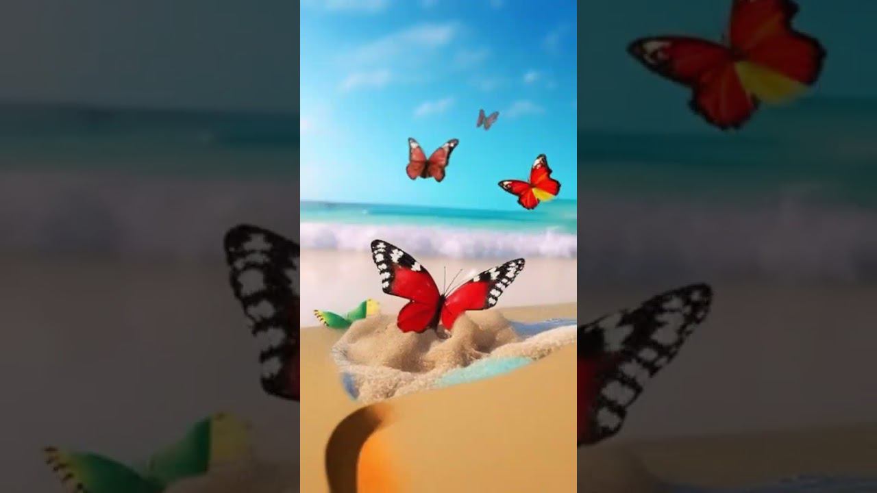 времена года смотреть онлайн