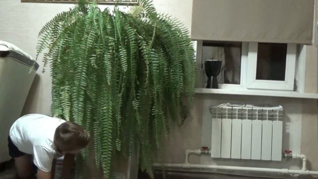 САМОЕ ЛУЧШЕЕ ПОЗДРАВЛЕНИЕ НА РУССКОМ YOUTUBE///СЧАСТЬЯ ВСЕМ ВАМ, ВСЕХ ЛЮБЛЮ смотреть онлайн