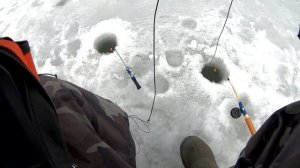 КРУПНЫЙ карась зимой, на поплавок. Рыбалка, ловля со льда