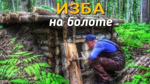 ИЗБА на Болоте.