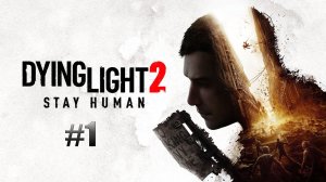 Мёд или ромашка# Dying Light 2 Stay Human#1