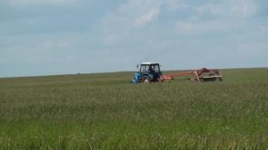2 МТЗ 82.1 с роторными косилками CLAAS и KVERNELAND.